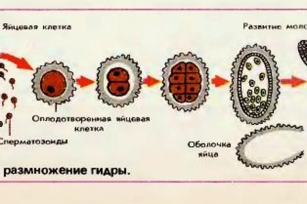 Кракен маркетплейс официальный сайт