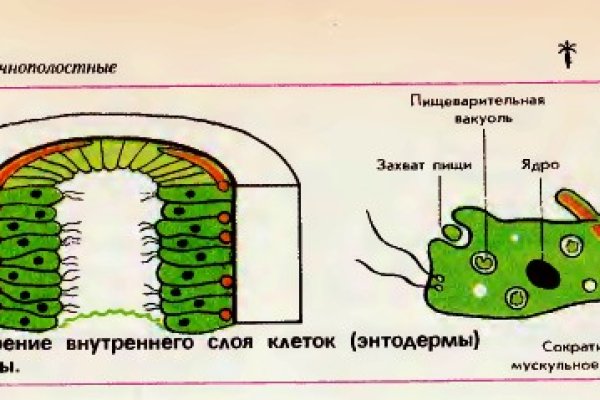 Кракен даркнет отменился заказ